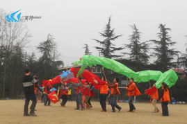 山美特 專業體驗式拓展訓練，賦能團隊凝聚力與協作力